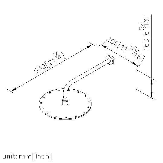 Wall-Mounted Showerhead (300mm) thumbnail 2