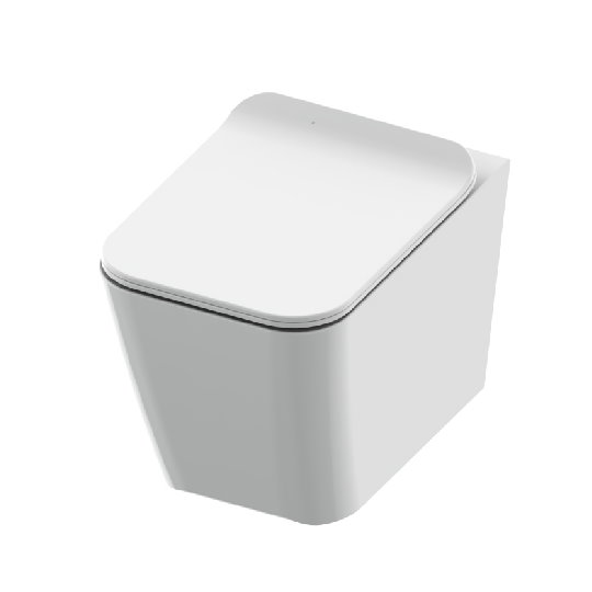 Wall-Hung Toilet W/Toilet Seat & Cover