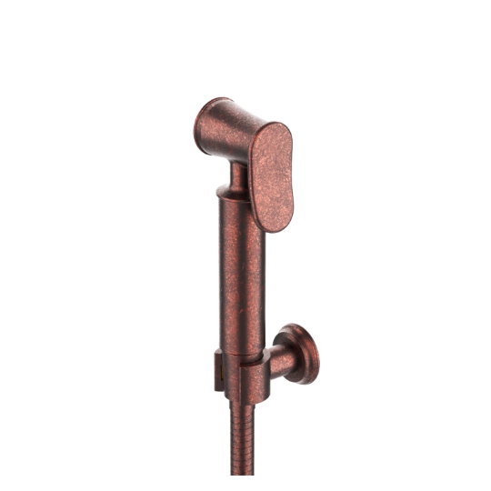 Sprayer W/Hose & Fixed Wall Bracket