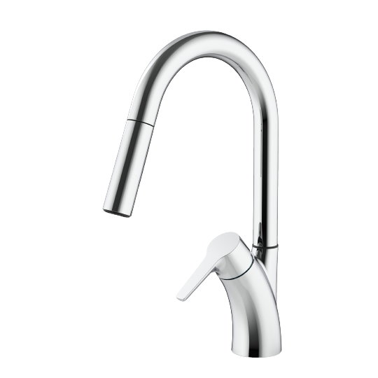 Kitchen Faucet With Pull-Out Sprayer