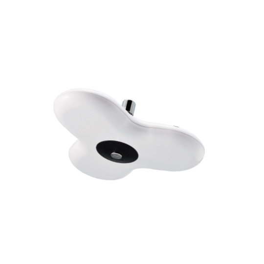 Showerhead