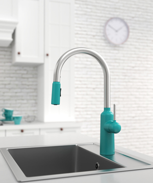 Chapter 2 Kitchen Faucet with Pull-out Sprayer